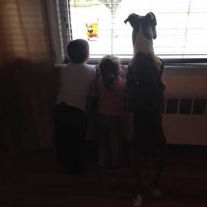 Meet your Posher, Christopher